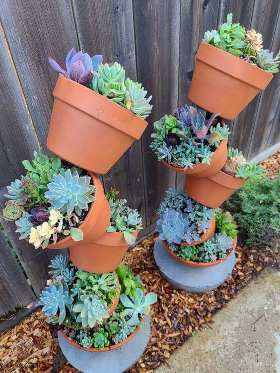 22 Creative Ways to Display Succulents Outdoors - BlogNews